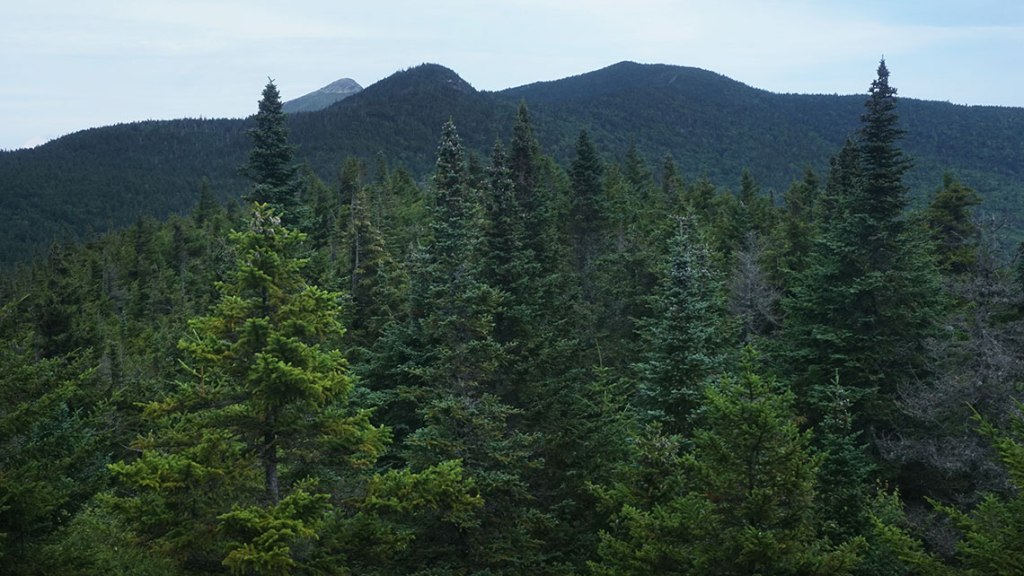 The bald top of Camel's Hump can be seen in the distance. In the foreground is the green, forested tops of other smaller mountains.